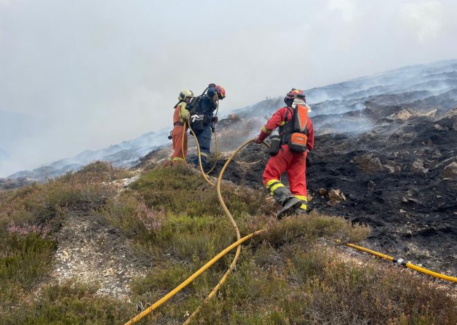 Tras la ola de incendios, España afronta un desafío mayor: decidir si quiere los bosques de antes o bosques del futuro