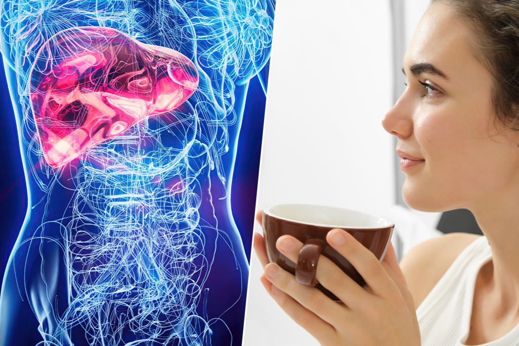 El hígado graso afecta a uno de cada cuatro adultos: así es como el café y el té verde se han colado en la lista de aliados